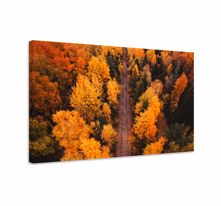 Tablou peisaje calea foliajului de toamnă - TenStickers