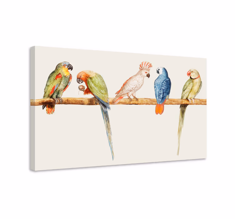 Tablou păsări colecție de papagali colorați - TenStickers