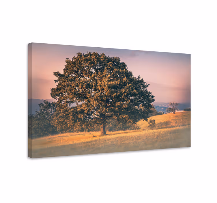Tablou copaci stejarul majestic - TenStickers