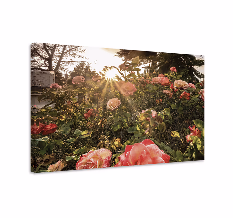 Tablou flori şi plante flori de trandafir strălucitoare - TenStickers