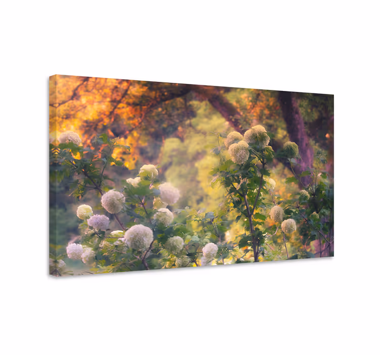 Tablou flori şi plante flori de pajiște - TenStickers