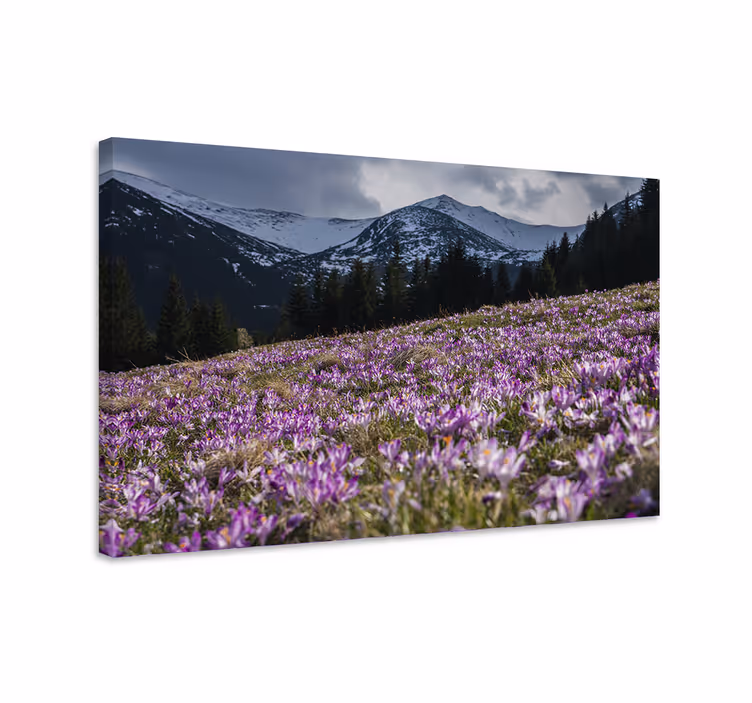 Tablou flori şi plante pajişte cu flori violet - TenStickers