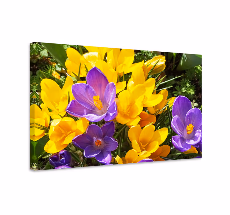 Tablou flori şi plante flori colorate de primăvară - TenStickers
