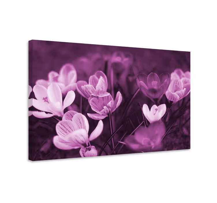 Tablou flori şi plante expunere florală înflorită - TenStickers