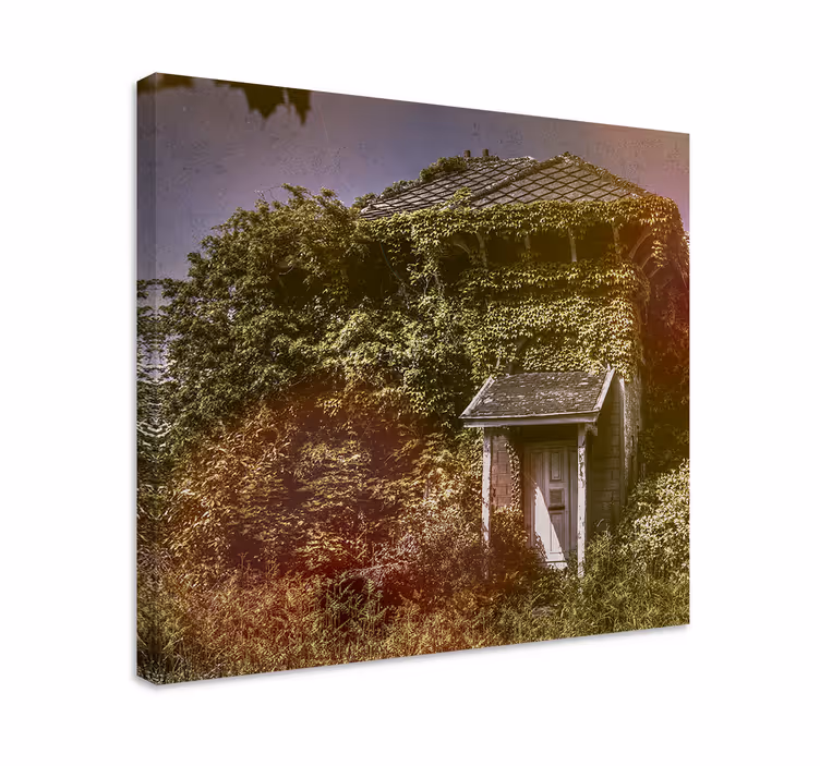 Tablou rustic cabana rustică abandonată - TenStickers