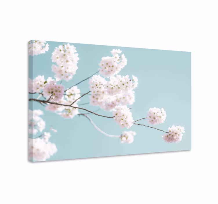 Tablou flori şi plante ramură de sakura înflorită - TenStickers