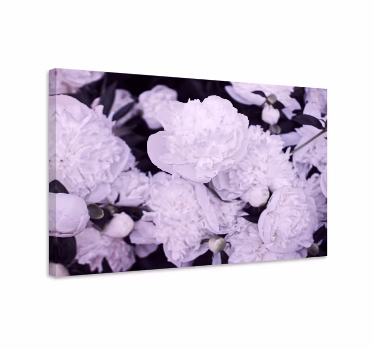 Tablou flori şi plante buchete de bujori mov - TenStickers
