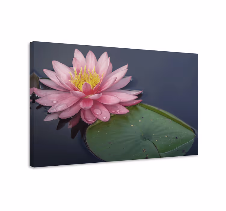 Tablou flori şi plante floare de nufăr - TenStickers