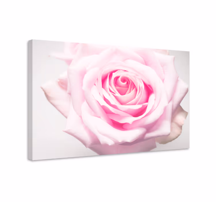 Tablou flori şi plante bujori de trandafir roz - TenStickers