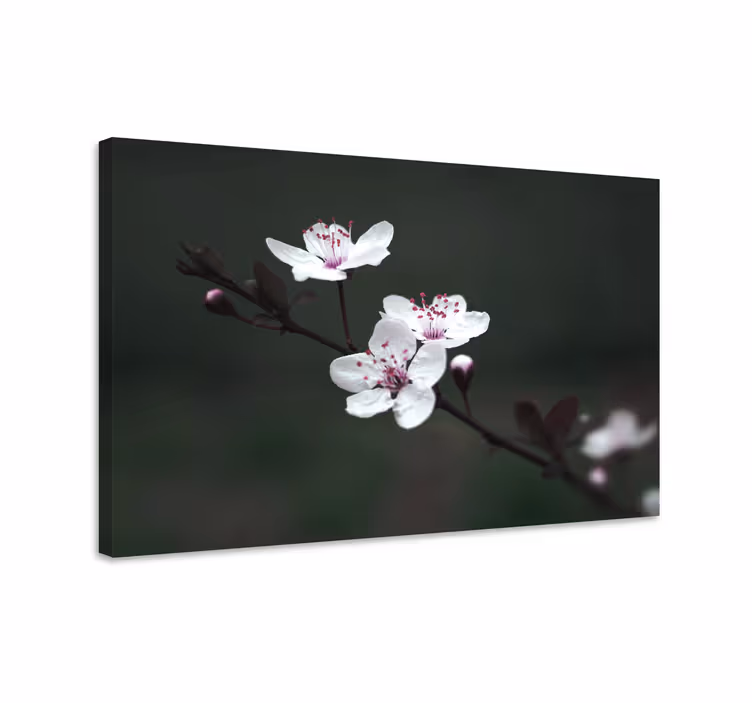 Pânză feminină elegantă cu flori de cireș - TenStickers