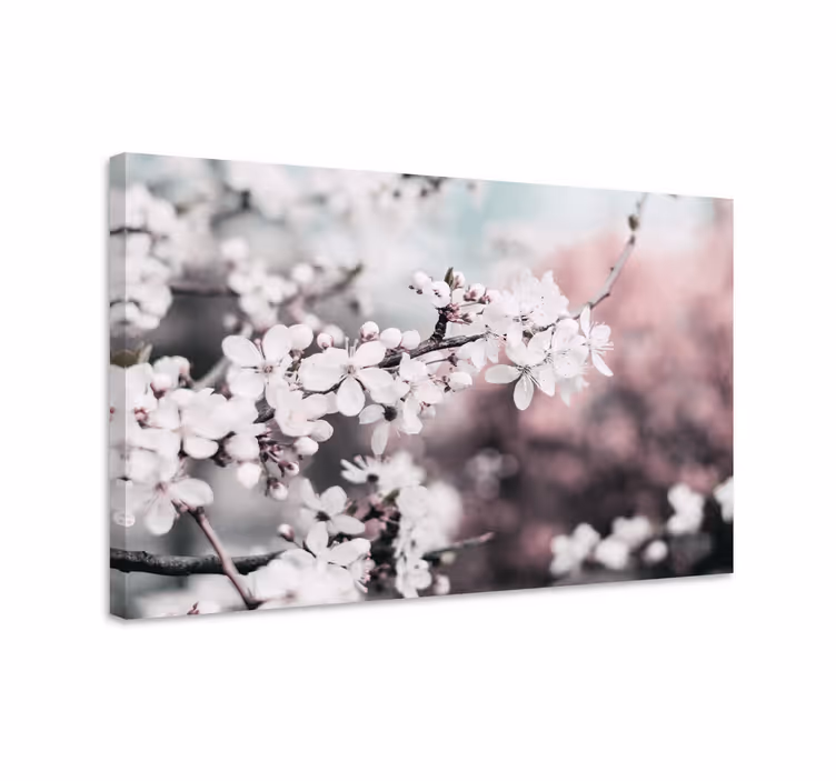 Tablou flori şi plante floare albă de cireș - TenStickers