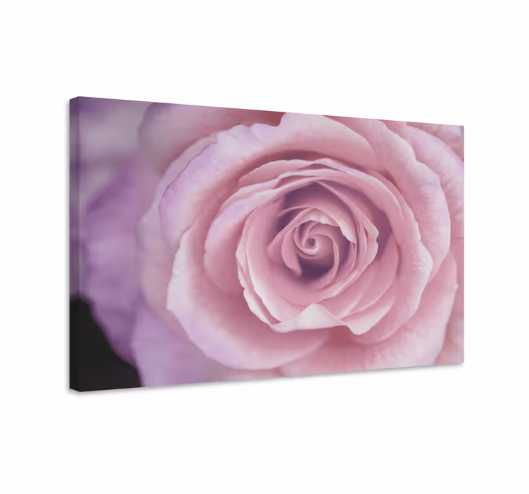 Tablou flori şi plante detaliu floral roz - TenStickers
