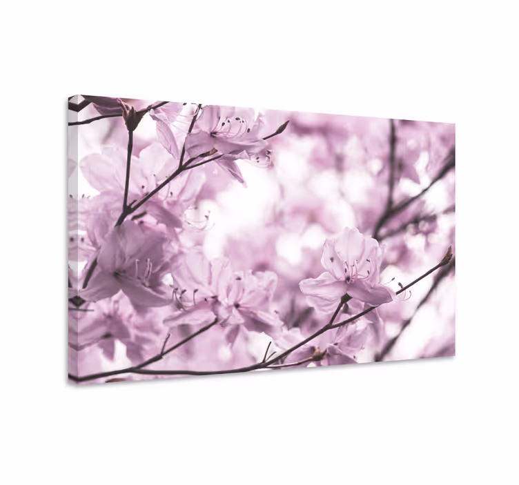 Tablou flori şi plante cu flori delicate - TenStickers