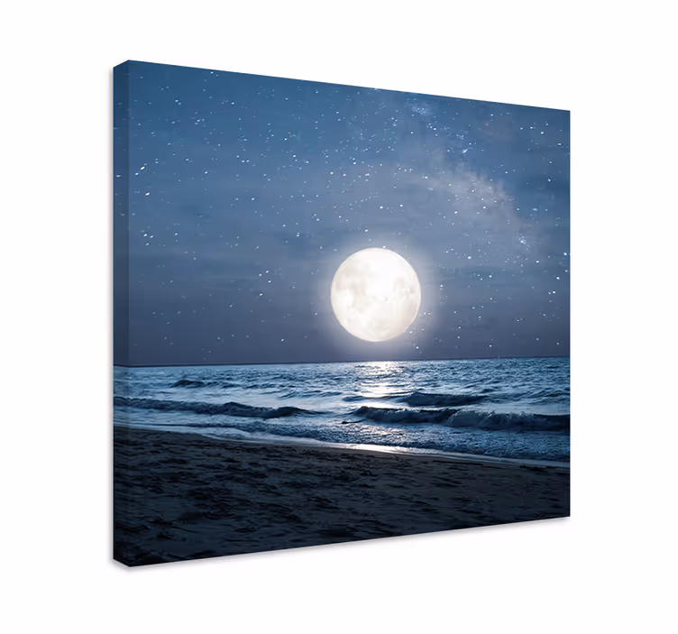 Pânză frumoasă peisaj cu lună plină la lumina lunii - TenStickers