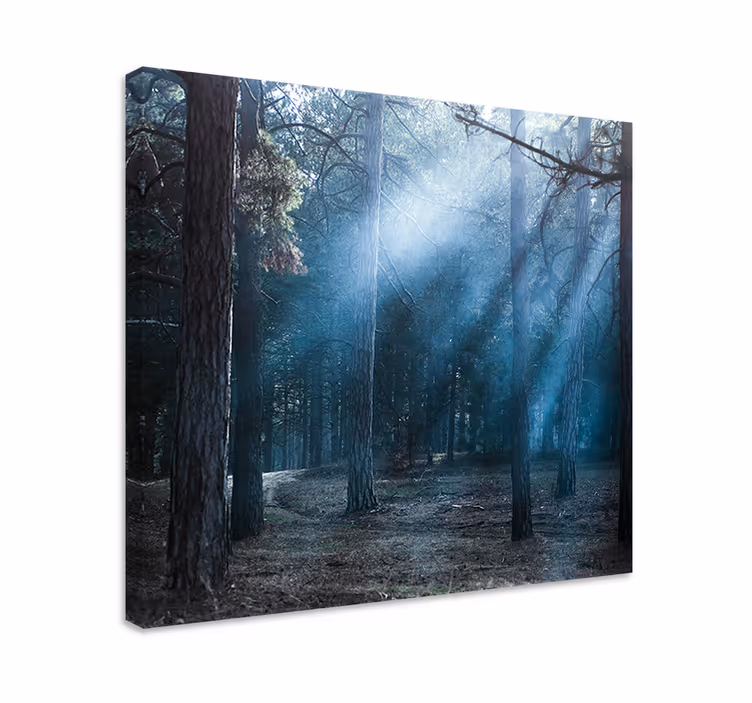 Tablou peisaje potecă de pădure cețoasă - TenStickers