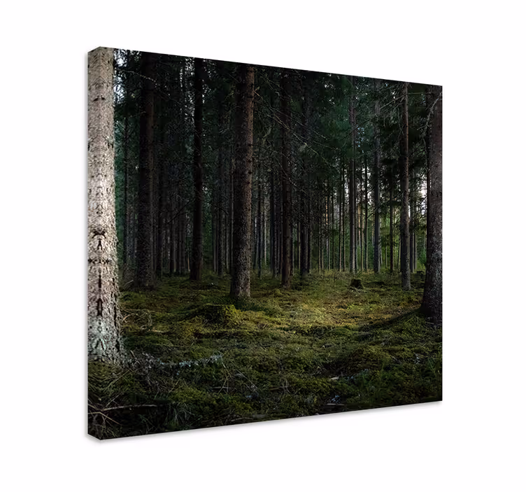 „natură” copaci în pânza de perete copac de pădure - TenStickers