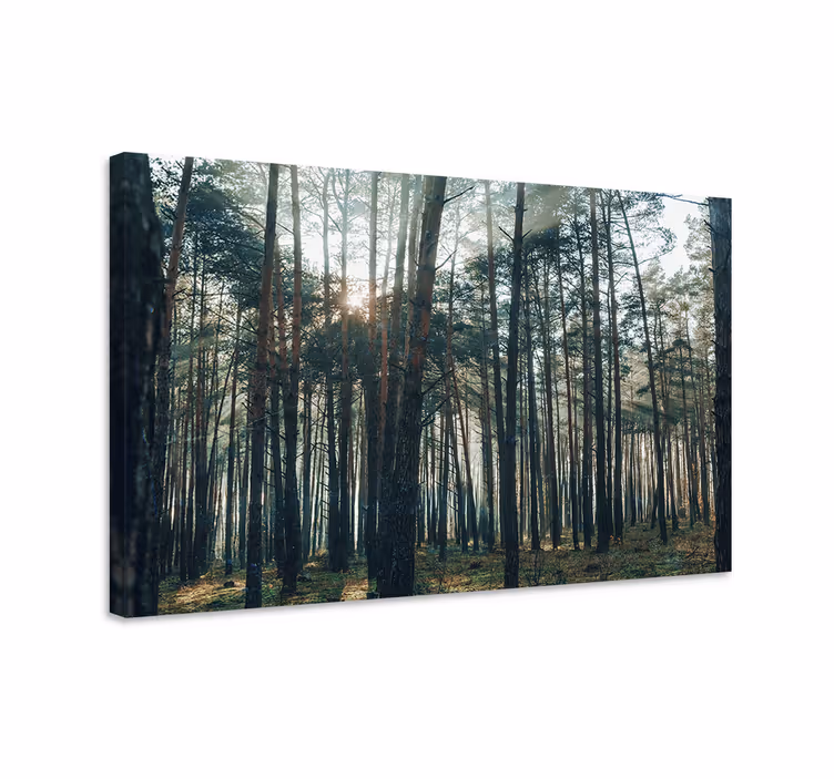 Pânză de peisaj design pădure de pin - TenStickers