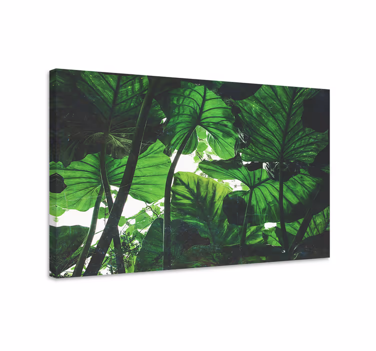 Tablou flori şi plante acoperiş de frunze tropicale - TenStickers
