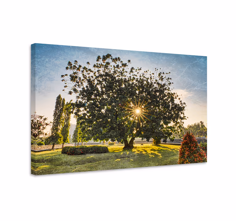 Tablou copaci siluetă majestică de copac - TenStickers