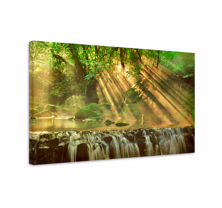Tablou peisaje pârâu însorit în pădure - TenStickers