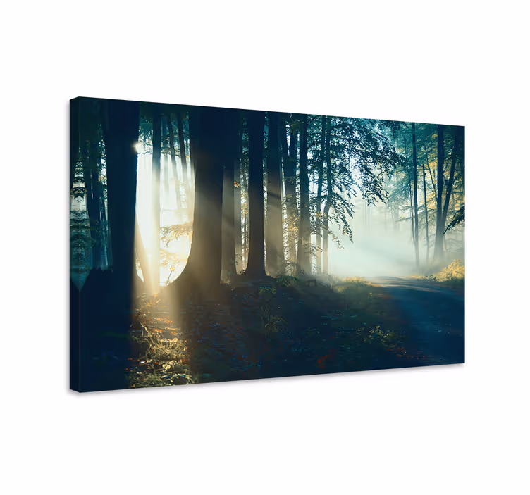 Tablou peisaje poteca cețoasă din pădure - TenStickers