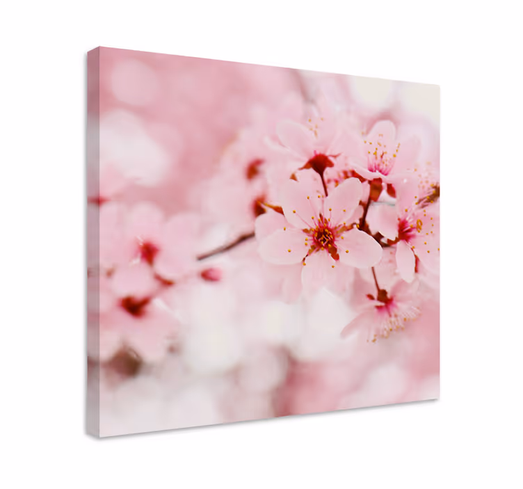 Floare roz fotografie artă floare pânză - TenStickers