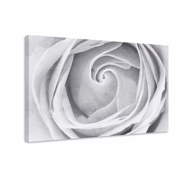 Tablou flori şi plante spirala elegantă cu trandafiri - TenStickers