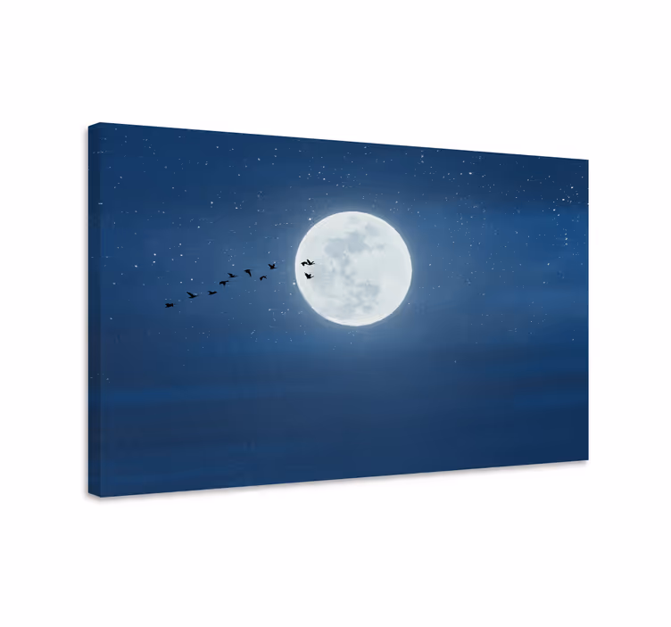 Tablou peisaje zbor sub lumina lunii - TenStickers