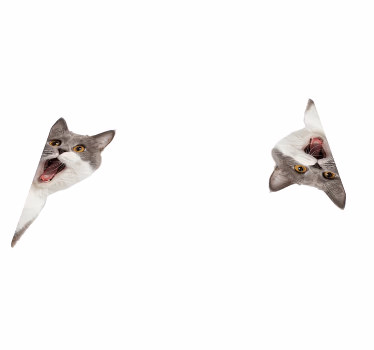 Covor vinil animal pisică spionând pe fundal alb - TenStickers