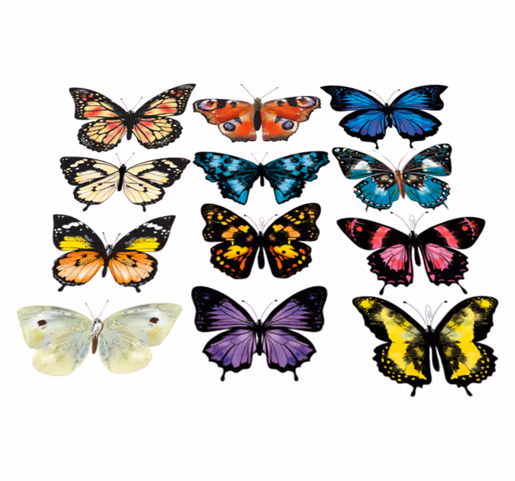 Covor vinil animal ilustrație fluture - TenStickers