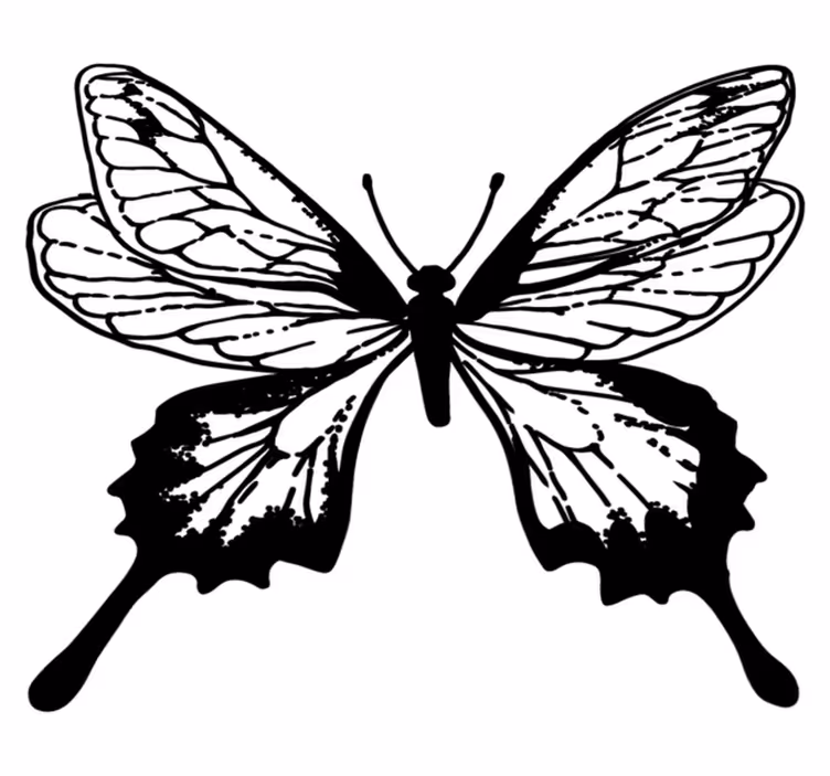 Covor vinil animal contur fluture elegant - TenStickers