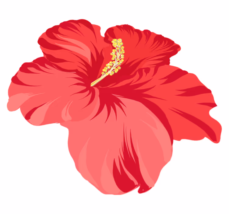 Covor vinil flori și plante set floare hibiscus roșu - TenStickers