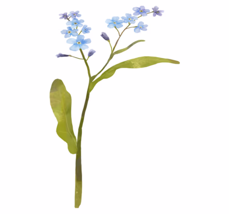 Covor vinil flori și plante plantă albastră elegantă - TenStickers