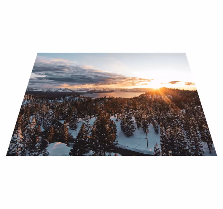 Covor vinil cu aspect de natura peisaj forestier luxuriant - TenStickers