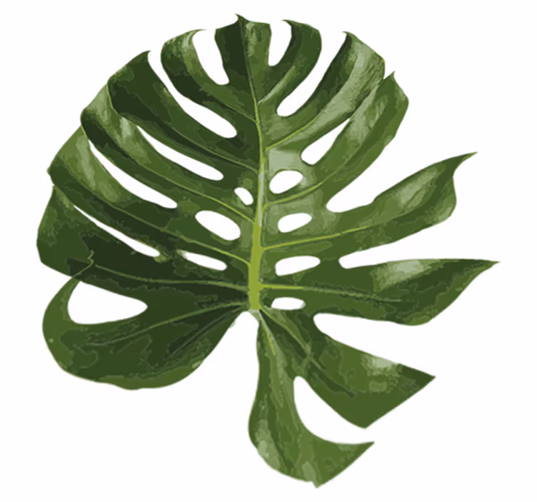 Covor vinil flori și plante frunze de monstera delicioase - TenStickers