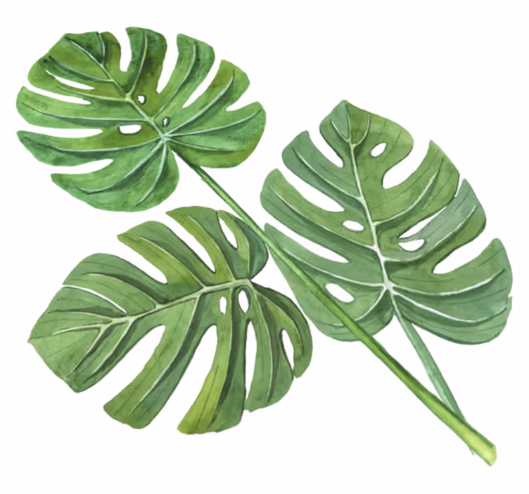 Covor vinil flori și plante frunze monstera acuarelă - TenStickers