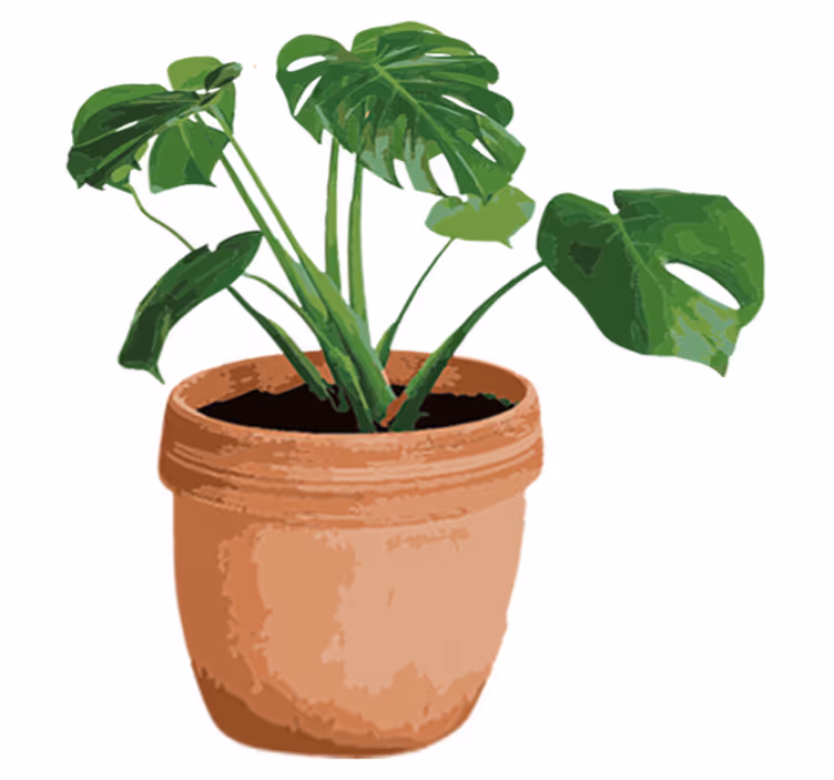 Covor vinil flori și plante ghiveci monstera simplu - TenStickers