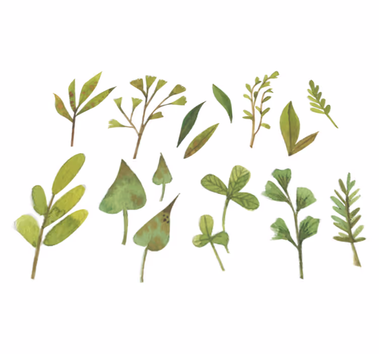 Covor vinil flori și plante frunze mici aquarella - TenStickers