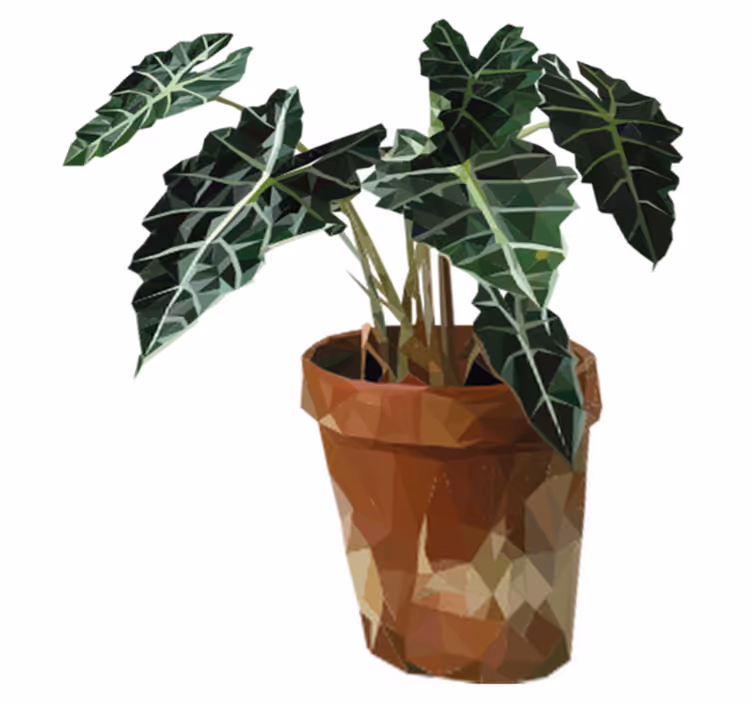 Covor vinil flori și plante ghiveci geometric - TenStickers
