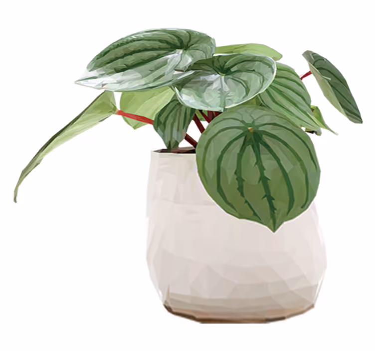 Covor vinil flori și plante pentru plante de interior - TenStickers