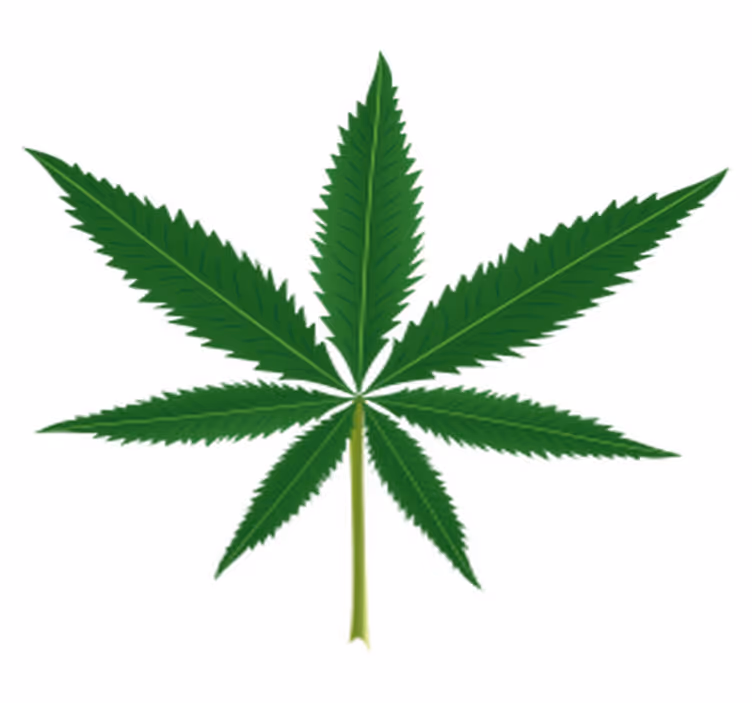 Covor vinil flori și plante frunză de marihuană - TenStickers
