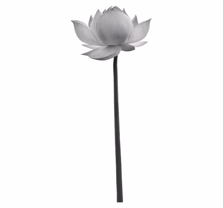 Covor vinil dormitor floarea lotus solitară - TenStickers