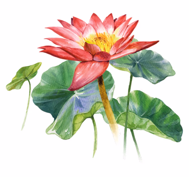Covor vinil dormitor iluzie acuarelă lotus - TenStickers