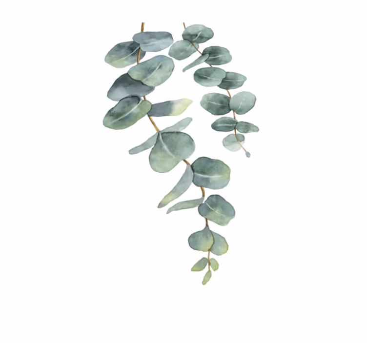 Covor vinil flori și plante crenguțe de eucalipt - TenStickers