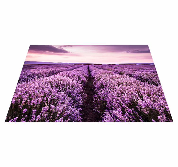Covor de vinil violet cu flori de lavandă în provența - TenStickers