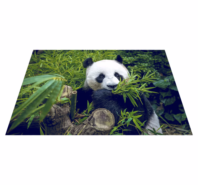 Covor vinil verde panda drăgălaș - TenStickers