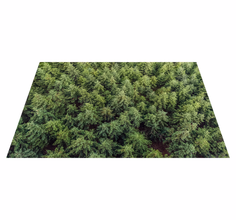 Covor de vinil pentru living peisaj padure - TenStickers