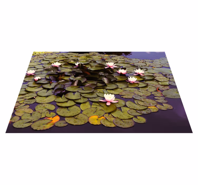 Covor de lotus în iaz floral din vinil - TenStickers