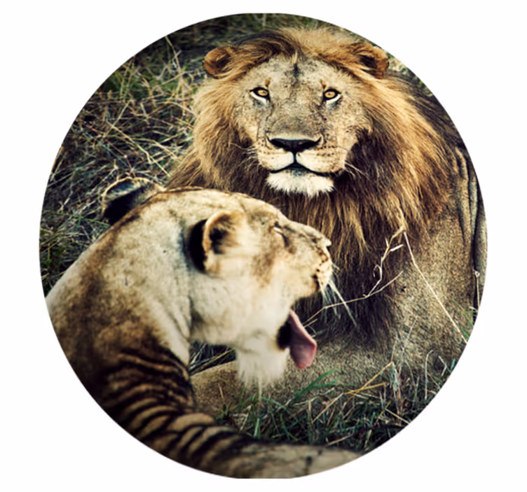 Covor pentru animale de leu și leoaică - TenStickers