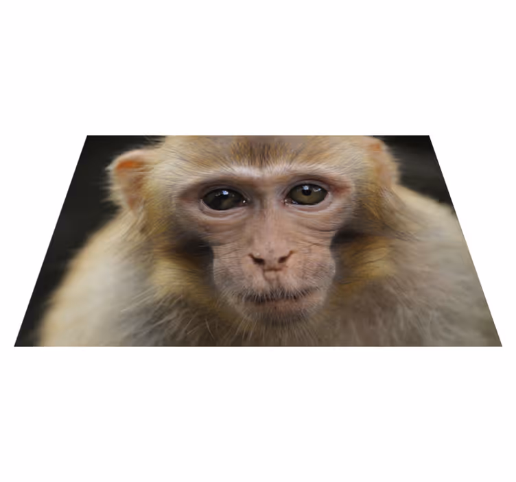 Covor vinil animal față de pui de maimuță - TenStickers